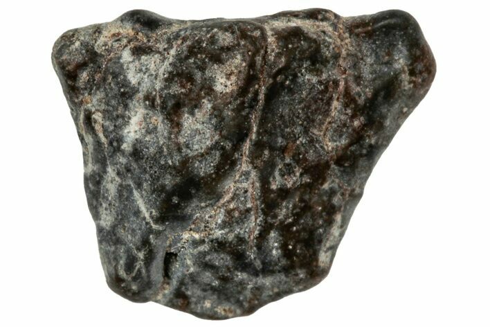 Lunar Meteorite ( g) - NWA #304860